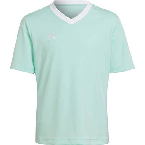 adidas türkis herren|Turkis .